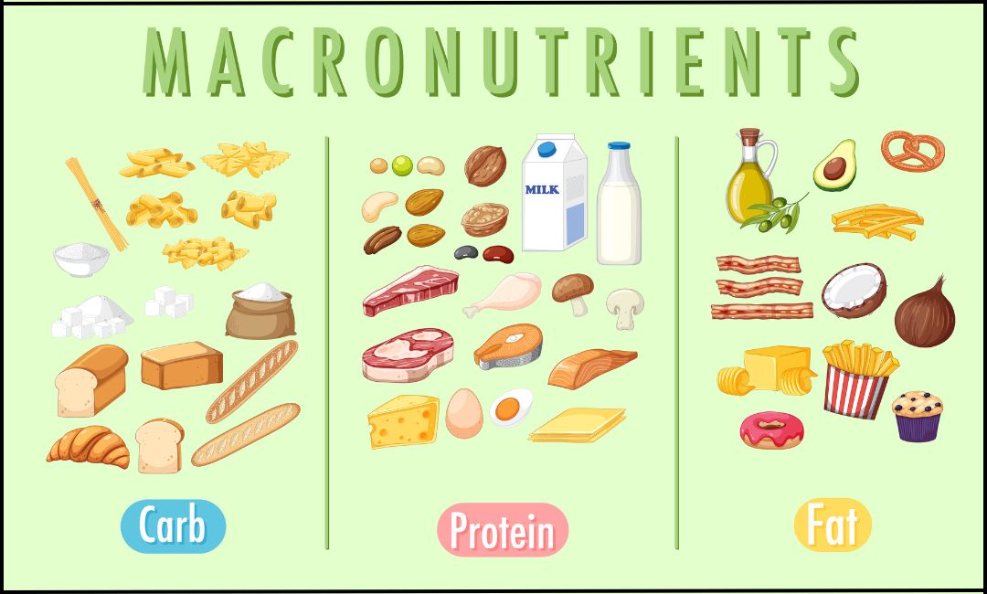 Macronutrients