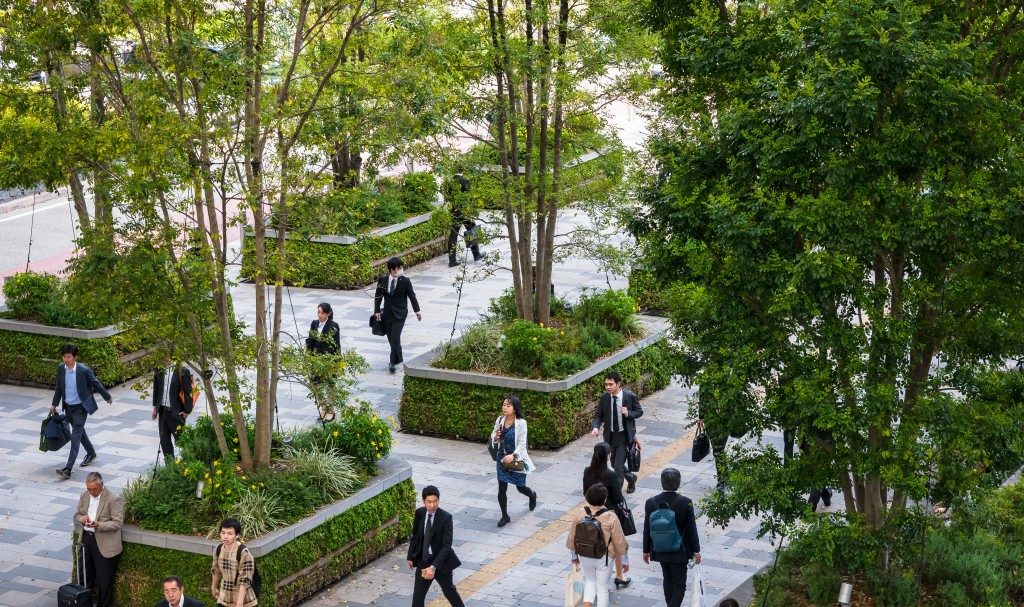 Green Spaces in big cities